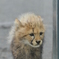 photo_1238953