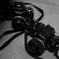 Nikon Nikon