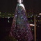 2010 christmas @ お台場