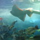 江の島水族館