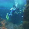 江の島水族館
