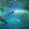 江の島水族館