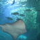 江の島水族館