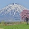 春、蝦夷富士