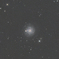 NGC3344