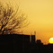 夕日