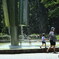 芹ヶ谷公園の噴水