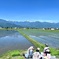 田水鏡
