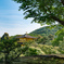 金閣寺
