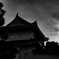 夕日に照らされる二条城櫓