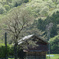 田園