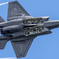 岩国フレンドシップデー　F-35