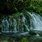 新緑の元滝伏流水