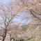 C2590904-9F93-45B3-8529-CE8CD3E0628A