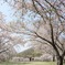 1517D9C1-A54A-4379-9A55-F465C50FEFA1