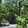 DSC00089