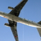 HANEDA