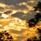 太陽SUN