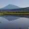 田んぼに写った富士山の水鏡と新幹線①