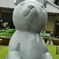 幸運のうさぎchan