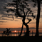 RINKU Sunset_2024139