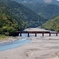 SL「かわね路」号が大井川第１橋梁を渡る！