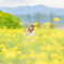 菜の花畑で捕まえて