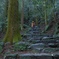 雨の宝満山山道