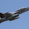 VMFA(AW)-224 ベンガル隊長機