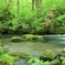 新緑の奥入瀬渓流　3