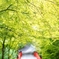 京都 初夏のきらめき