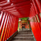 千本鳥居＠太皷谷稲成神社（島根県・津和野町）