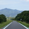 お散歩