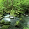 新緑の奥入瀬渓流　4
