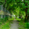 DSC_0028 (3) (4)