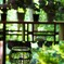 嵐山 祐斎亭_川端康成の部屋02