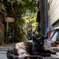 黒猫