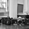 leica & nikon