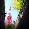 ある日の東京タワー (1)　