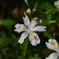 DSC_0805_20240428