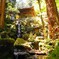 大雄山最乗寺