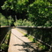 橋