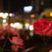 薔薇と都電