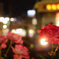 薔薇と都電
