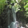 植物園　滝