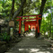 新緑の二葉姫稲荷神社