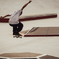 Golden Hour Ollie
