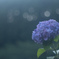 しっとりの朝5時