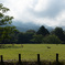 三笠山の朝もや