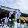 宮地嶽神社02